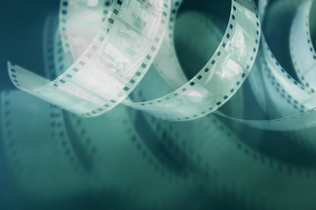 My Field Guide to Film Stocks & Color Emulsions : What Actually Works